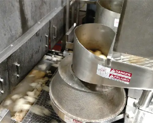 High Speed Slicer Installation